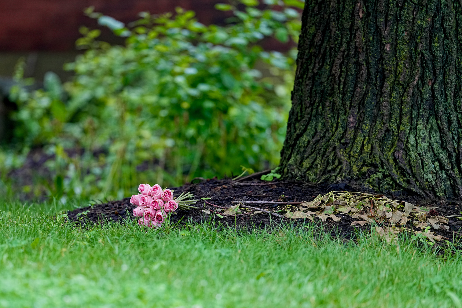 Spring in Pink